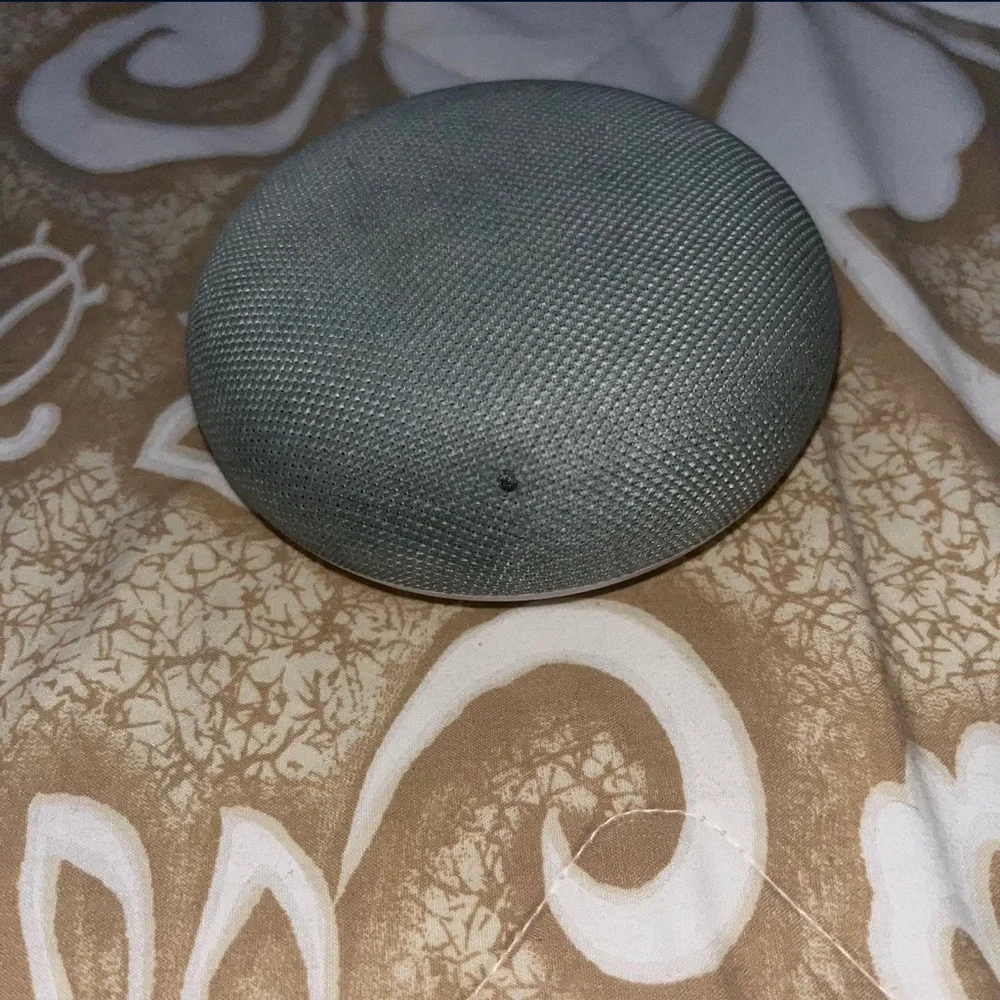 Google Home Mini - Chalk